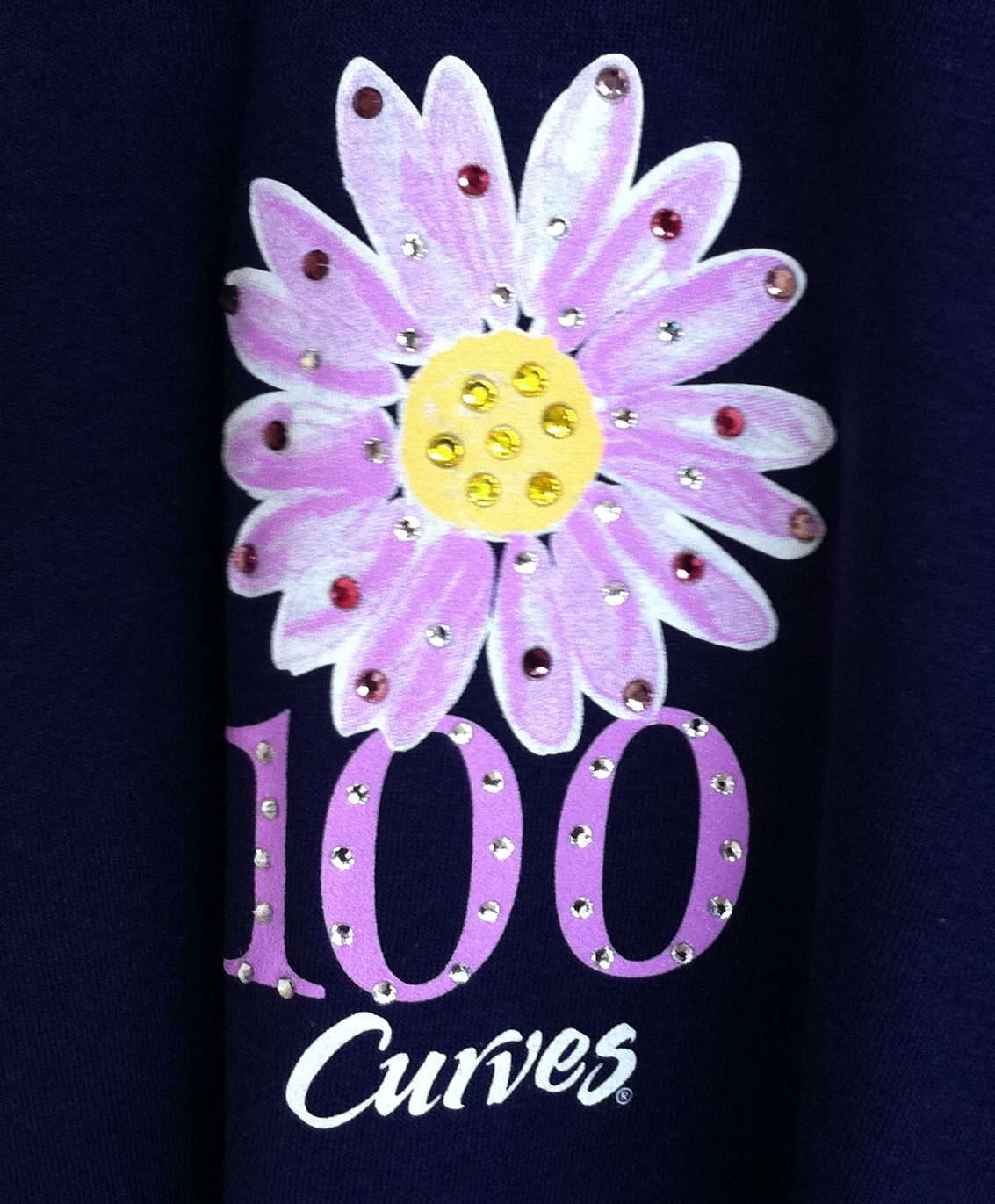 2012-05-01-Curves 1st 100 Visits.jpg